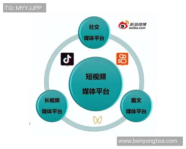 独家解析IG灵活性优势与其他平台的深度对比分析